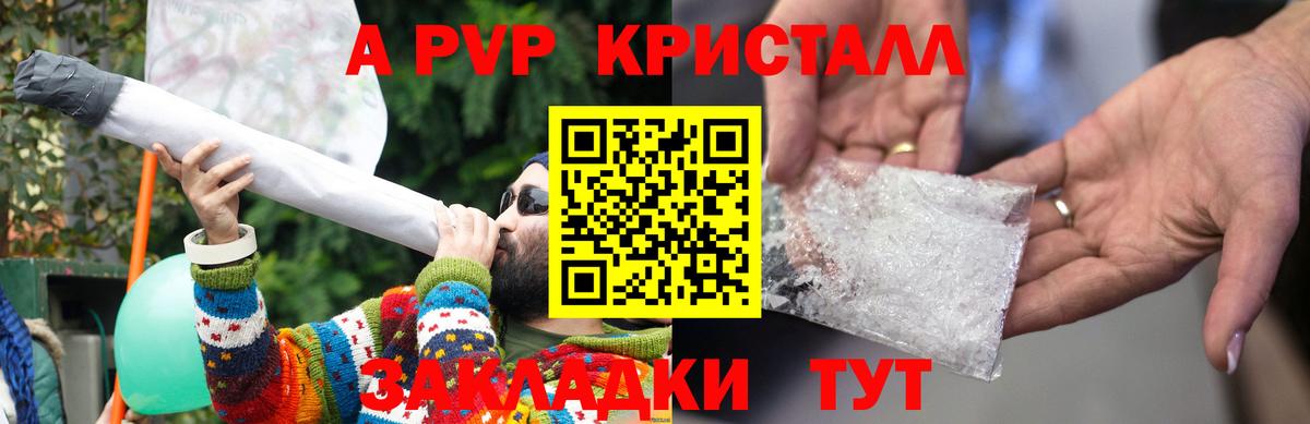 Альфа ПВП СК Зеленогорск