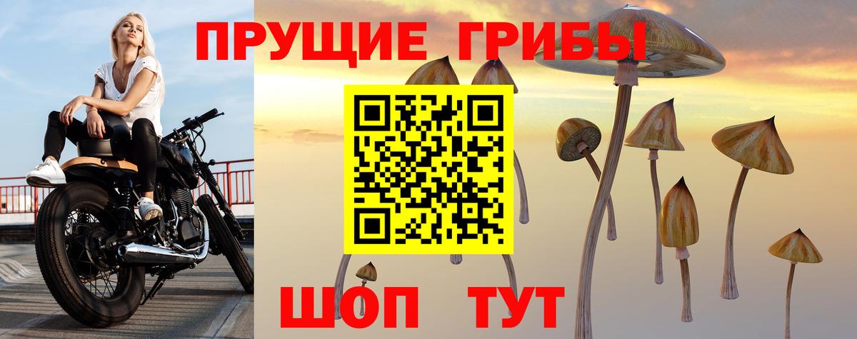 Метадон Зеленогорск
