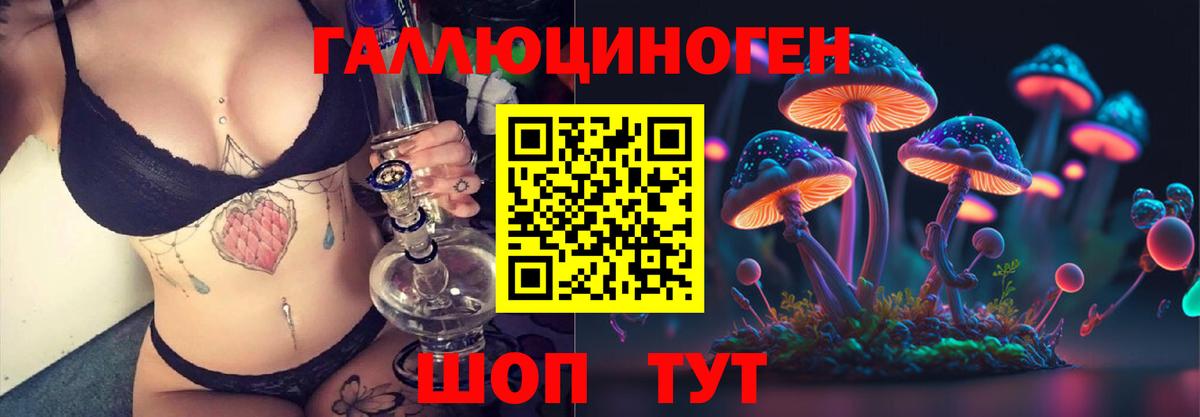 Зеленогорск  Псилоцибиновые грибы Psilocybine cubensis  Вход с VPN 